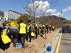 전남교육청 나무 심기 행사 개최