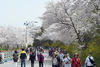 유달산 봄 축제 4월6일 개막