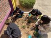 세풍초 봄 맞이 꽃 심기 행사 개최