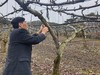 나주시, 월동 해충 조기방제 당부