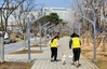 나주시 유기동물 입양 25만 원 지원
