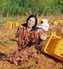 전남도 10월의 친환경농산물에 무안 착한고구마