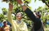 윤병태 나주시장 배 농가 냉해 현장 점검