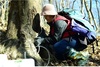 “자연이 선물한 건강음료, 장성 고로쇠 드세요”