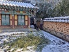 광주시 지역문화유산 한파 대비 긴급 안전점검