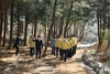 광주 남구 분적산 편백숲길 새 모습 단장 