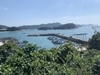 완도군 도서종합개발 순항