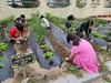 진도교육지원청 매달 5일 보배섬 환경의 날 지정 운영