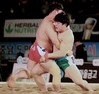 영암군 씨름단 설날장사씨름대회 두체급 석권