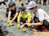 화순북면중 텃밭서 생명 존중·환경보호 실천
