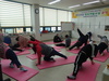 함평군 정신건강 한울 재활프로그램 운영