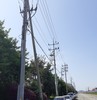 전남도 대불산단 전선 지중화 속도낸다