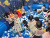 왕지초 병설유치원 유보이음 다양한 활동 운영