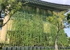 나주시 덩굴식물로 실내 온도 낮춰