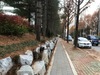 광주시 금호동 일대 열린 숲 조성