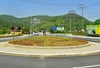 장성군 노란 꽃동산 조성