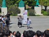 완도초 문화예술교육주간 운영
