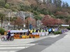 완도군 교통사고 예방 캠페인 실시