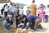 팔금초 식목일 기념 ‘꿈나무 심기’ 행사 가져