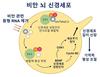 전남대학교 연구팀 비만 기억력 저해 발표 ‘흥미’
