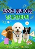 전남도 반려견과 함께 떠나는 남도한바퀴 특별코스 운영