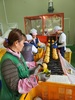 순천시 ‘낙안 배’ 수출 박차
