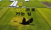 순천시 계절의 변화를 담아낸 ‘뜰 아트’ 시선 집중