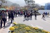 기찬랜드 국화축제 26일 개막