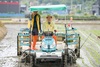 순천시 별량면 주민들 논아트 모내기 행사 실시
