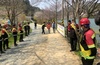 산나물 불법 채취 5년이하 징역 또는 5천만원 이하 벌금