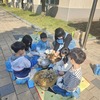 석곡초 꿈틀꿈틀 텃밭 만들기 운영