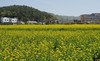 전남도 경관보전직불제 8월 2일까지 접수