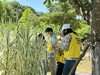 전남자연탐구원 자연관찰탐구대회 운영